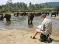 Pinnewalla Elephant Orphanage, Sri Lanka