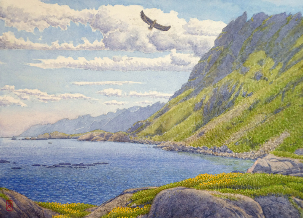 sea eagle, fjord, norway, flying sea eagle, havørn, flyvende havørn, 