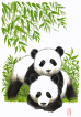 Panda cubs, panda babies, playing, leger, bamboo, bambus, watercolour, akvarel