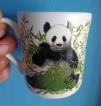 panda cup, panfa kop