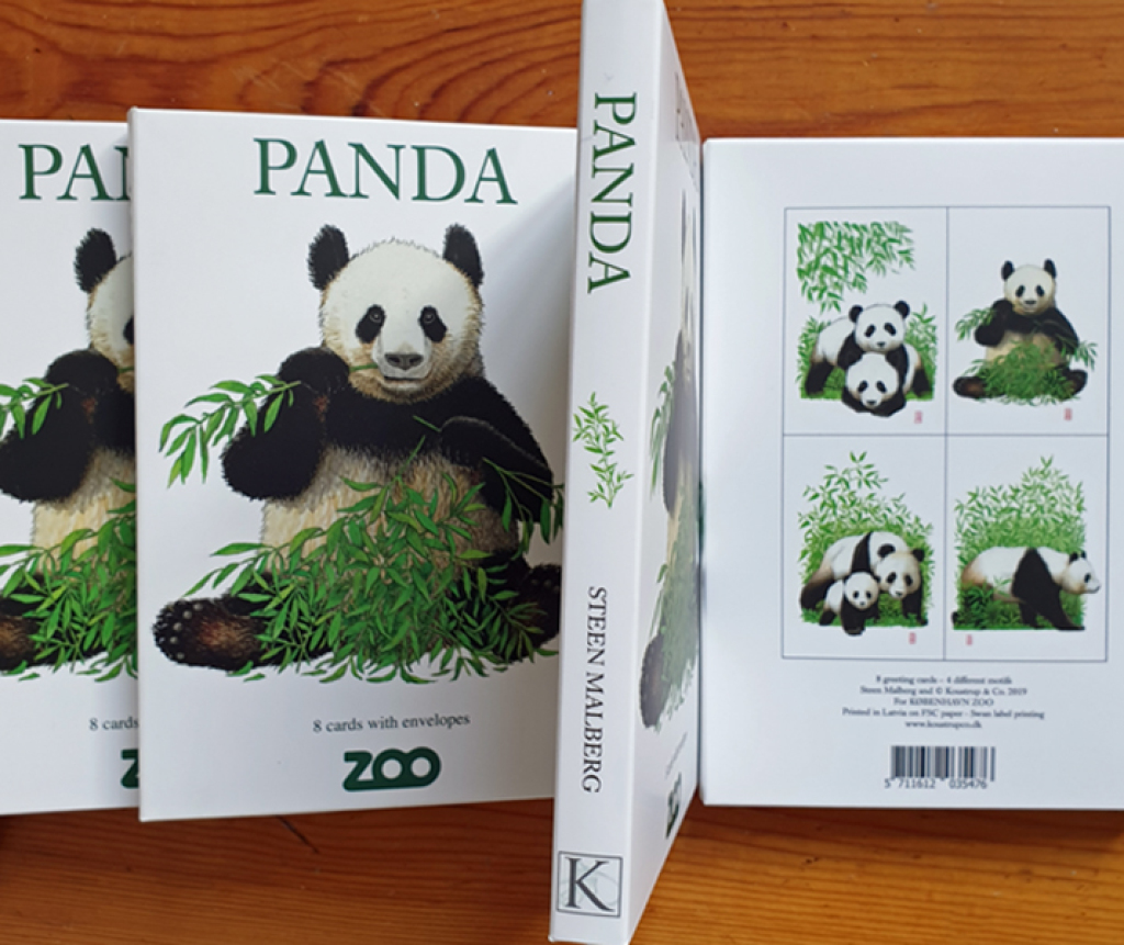Panda, pandas