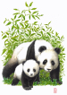 Pandas,  panda mother, panda cub, panda baby, bamboo, bambus, watercolour, akvarel