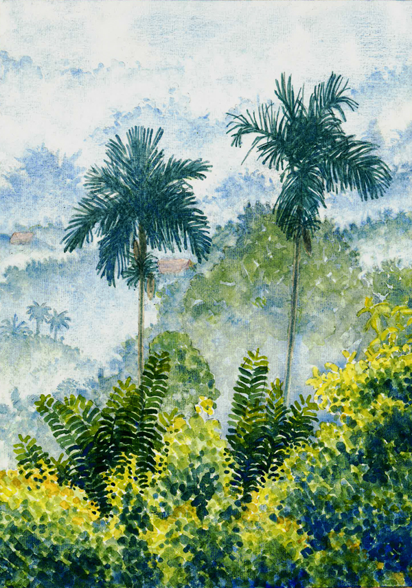 regnskov, akvarel
