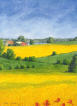 Rapsmarker, Ølgod ved Arresø. Akvarel, rape fields, gul, yellow, watercolour, landskab, landscape, udkantsdanmark, valmuer, poppies, poppy