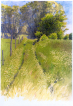 Markvej, Lille Lyngby. Akvarel, lane field, watercolour, landskab, landscape