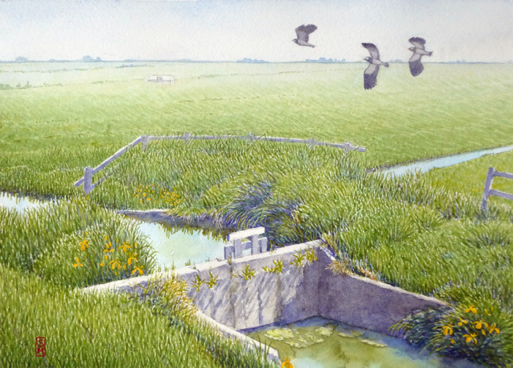 marsh, lock, 