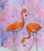 Flamingo, flamingoer, flamingoes, akvarel, watercolour