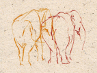 elefant bagdel, numse, elephant bottum, behind, drawing, paper, made from elephant dung