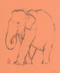 Elefant, tegning, drawing, paper, made from elephant dung